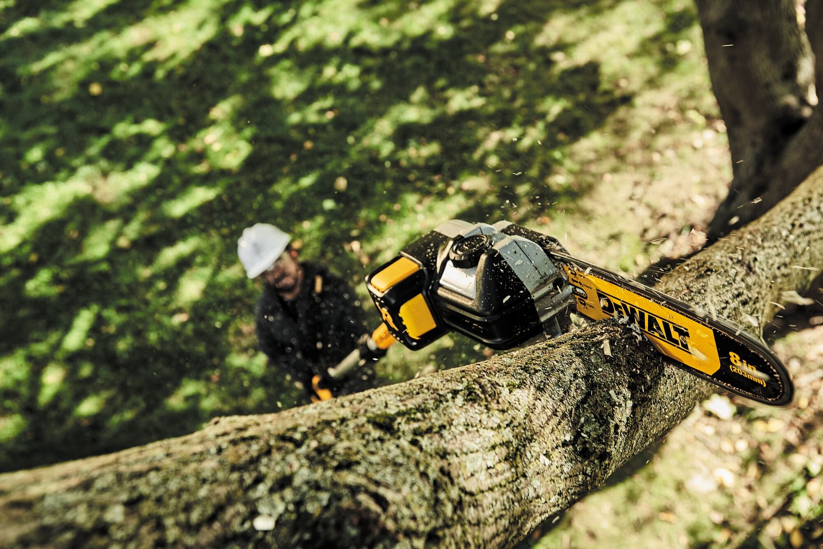 Une scie à perche DEWALT modèle DCPS620B coupe une grosse branche d’arbre en extérieur. La scie est en action, produisant des copeaux et de la poussière de bois. Une personne, dont le visage est flouté, utilise l’outil sous la branche.